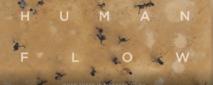 human flow
