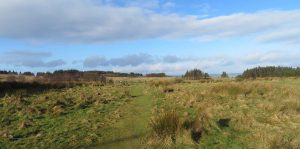 Grass Paths. The Upland Plateau. Gleniffer Braes