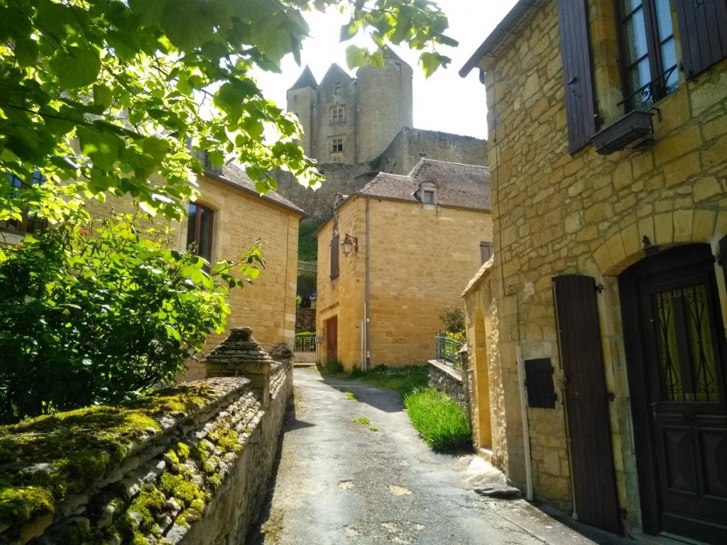 new mayor of salignac 