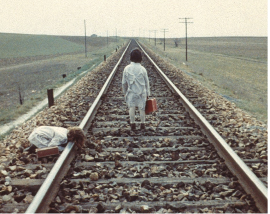 the spirit of the beehive