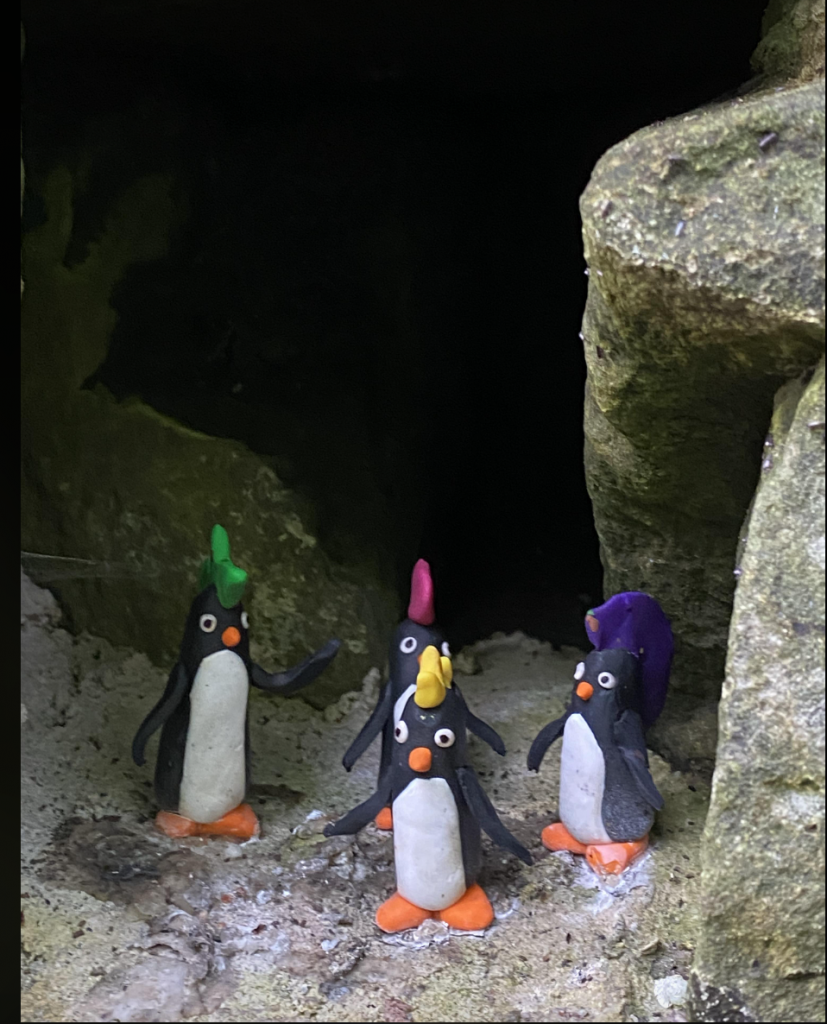 model penguins in wall kelvin walkway