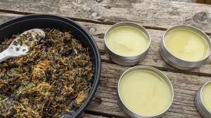 health and herb workshops