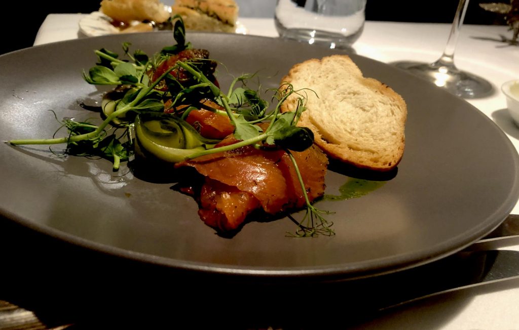 salmon