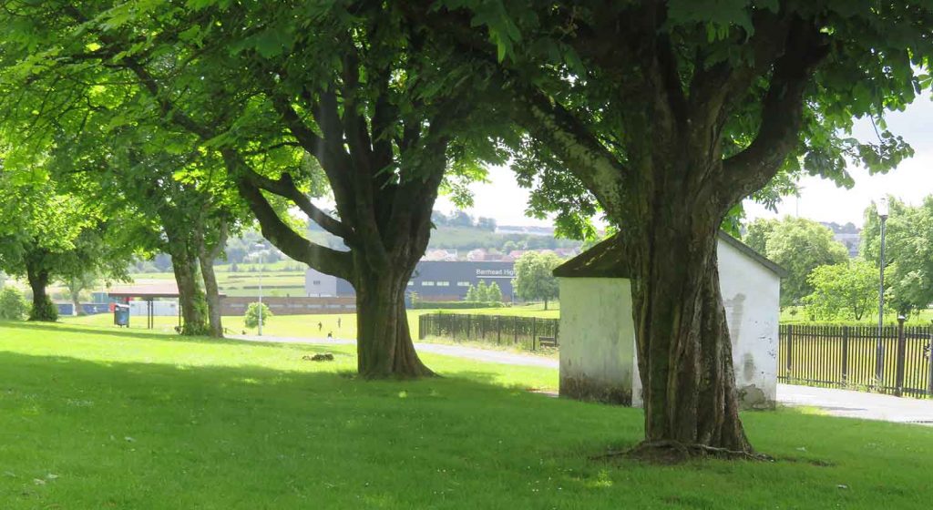 Cowan Park View, Barrhead