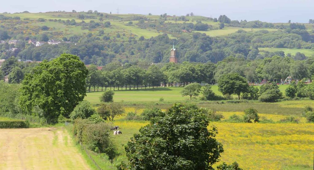 Cowan Park – St John's Spire