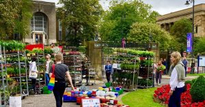 house plant sale