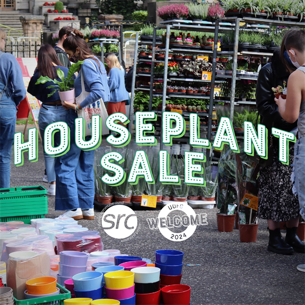house plant sale