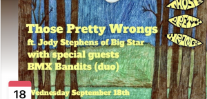 those pretty wrongs