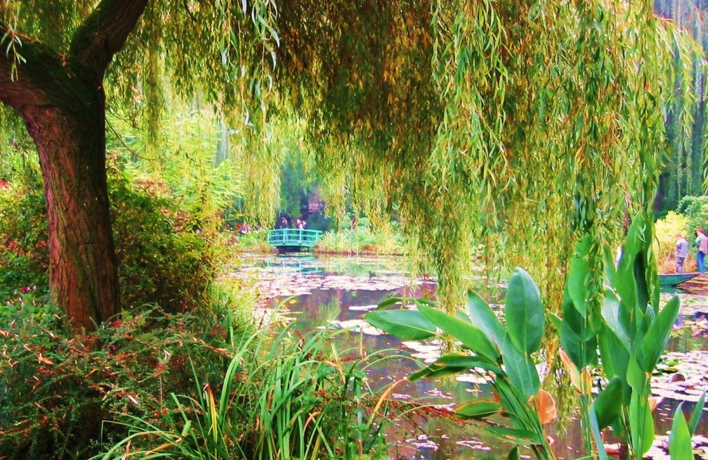 garden at giverny