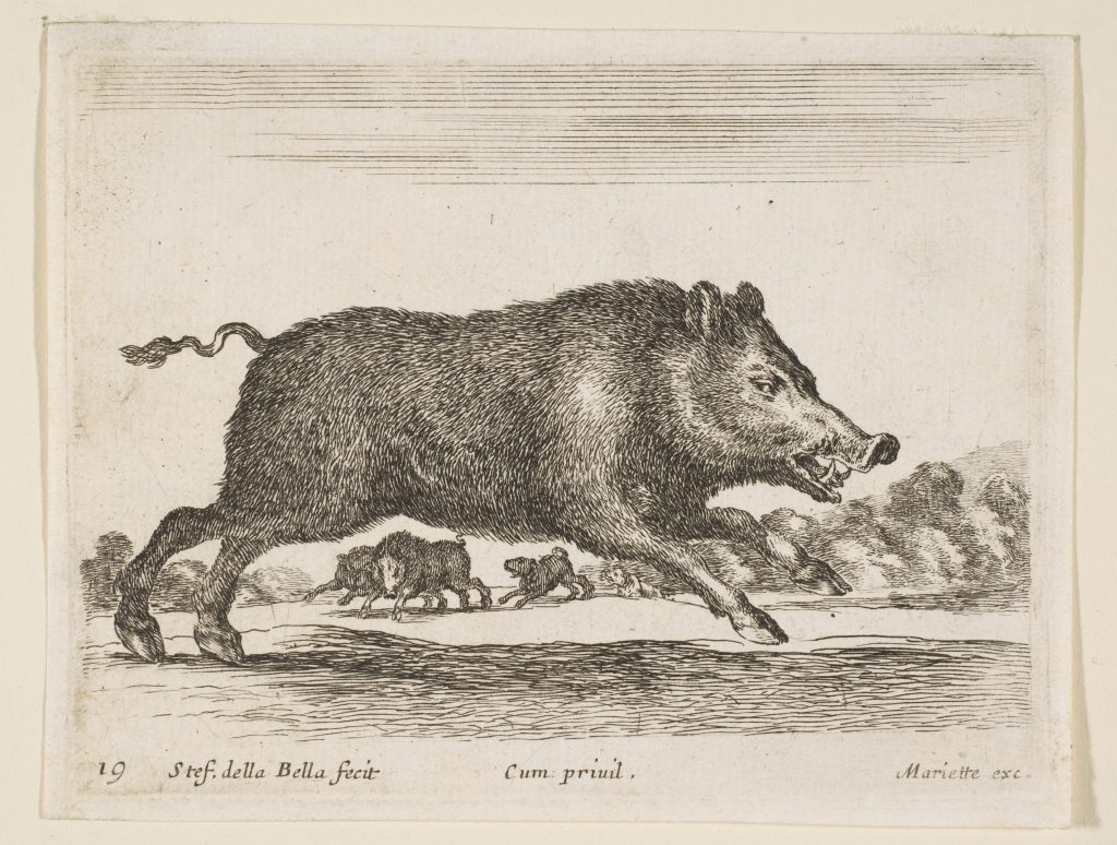 wild boar - https-::www.metmuseum.org:art:collection:search:377370