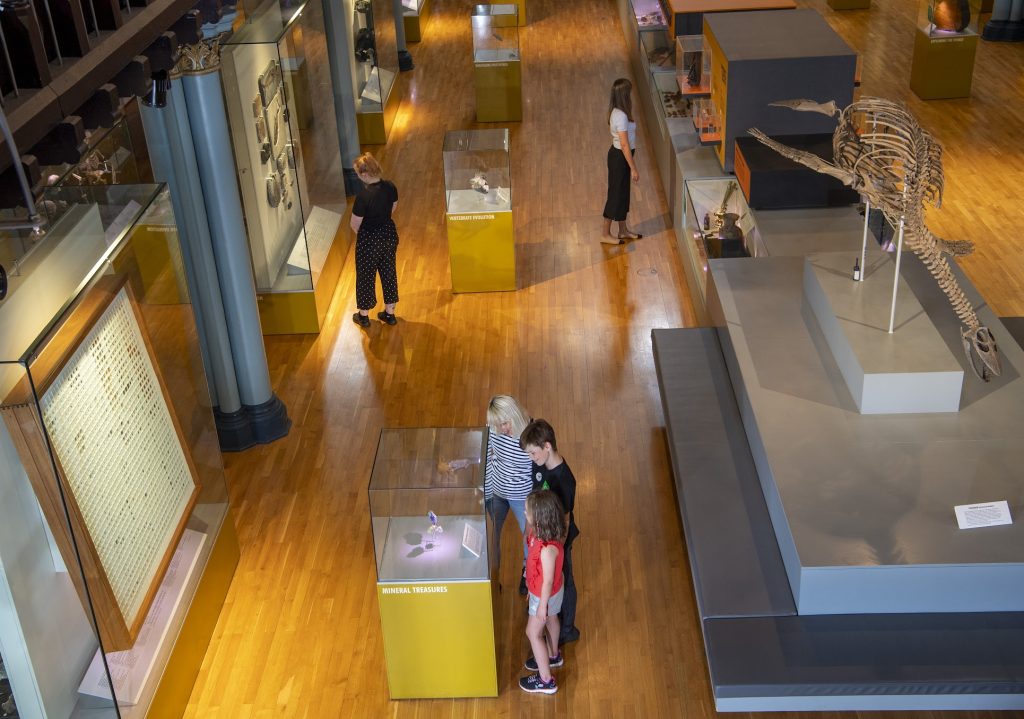 hunterian