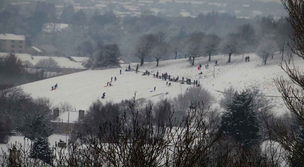 Families Having Fun on Sledging Hill