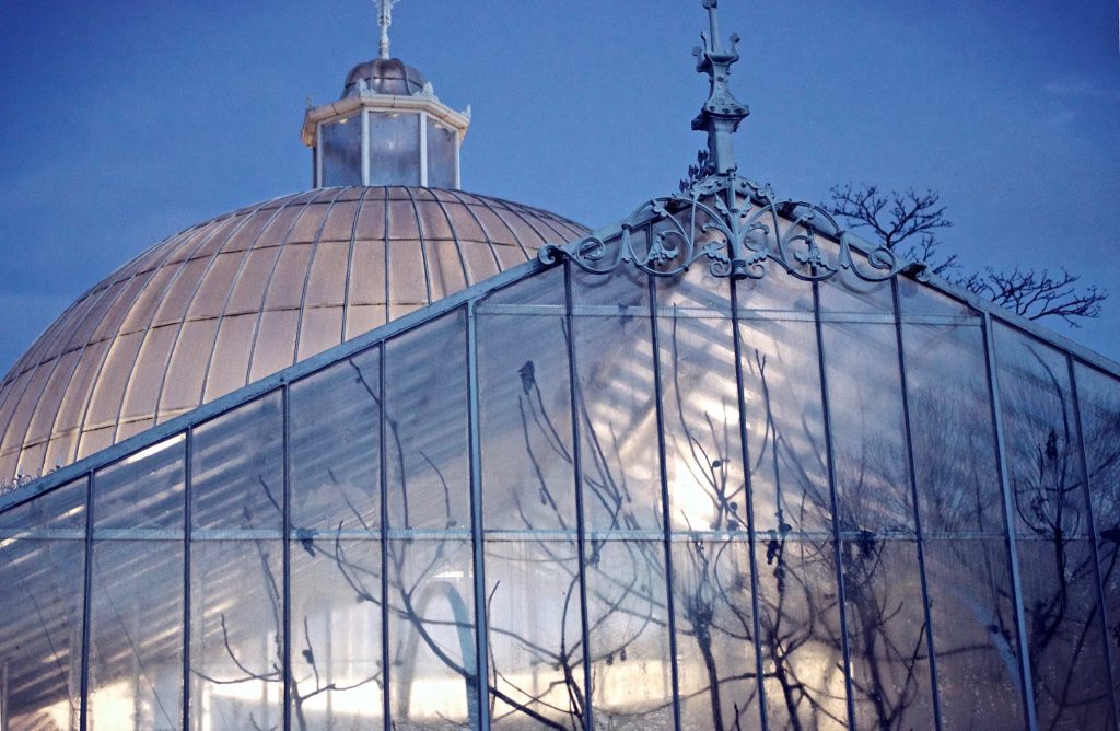 kibble palace glass house