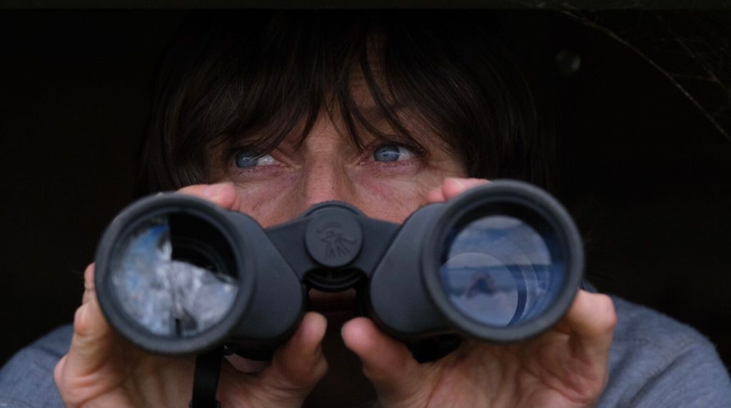 The Birdwatcher