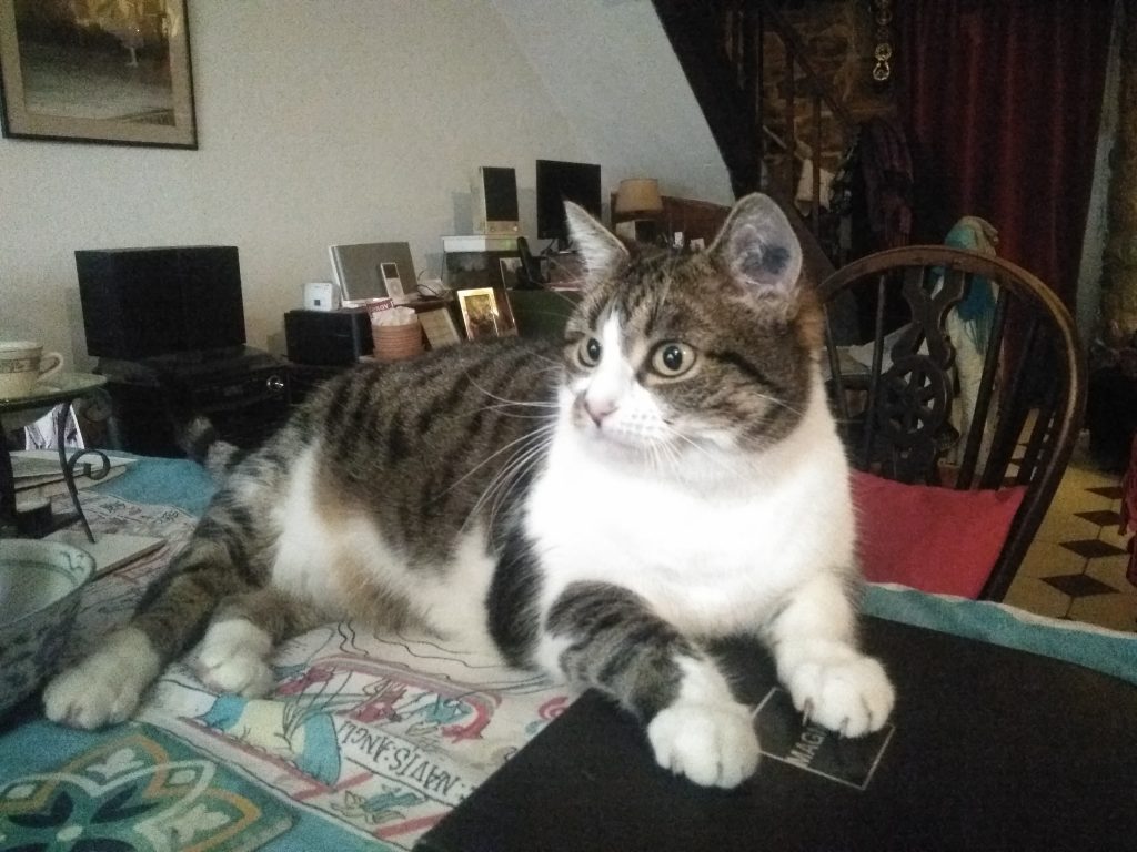 Missy