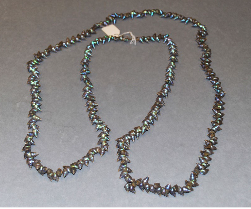 Tasmanian Necklace repatriation