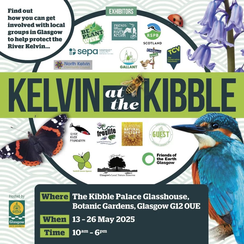 kelvin at the kibble