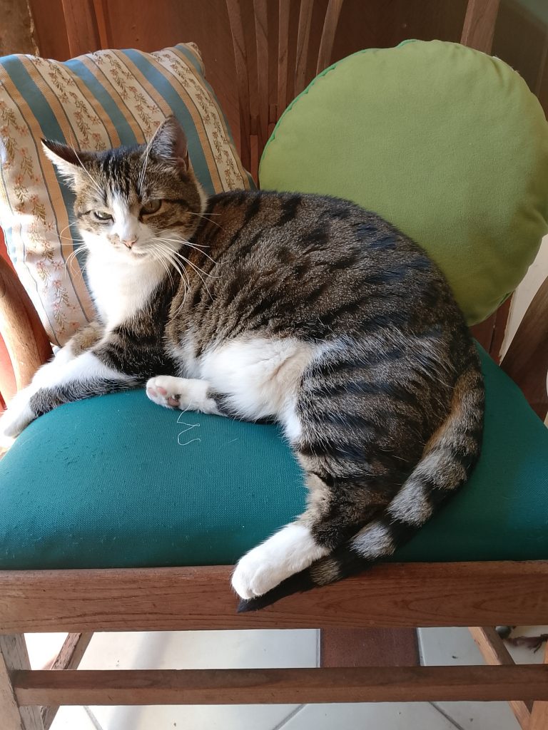 missy