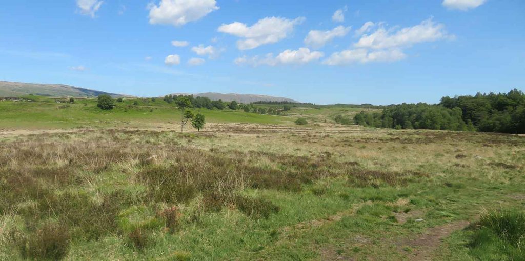 The high open Plateau of Muirhouse Muir.