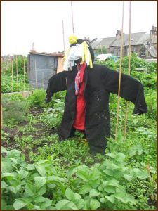 scarecrow