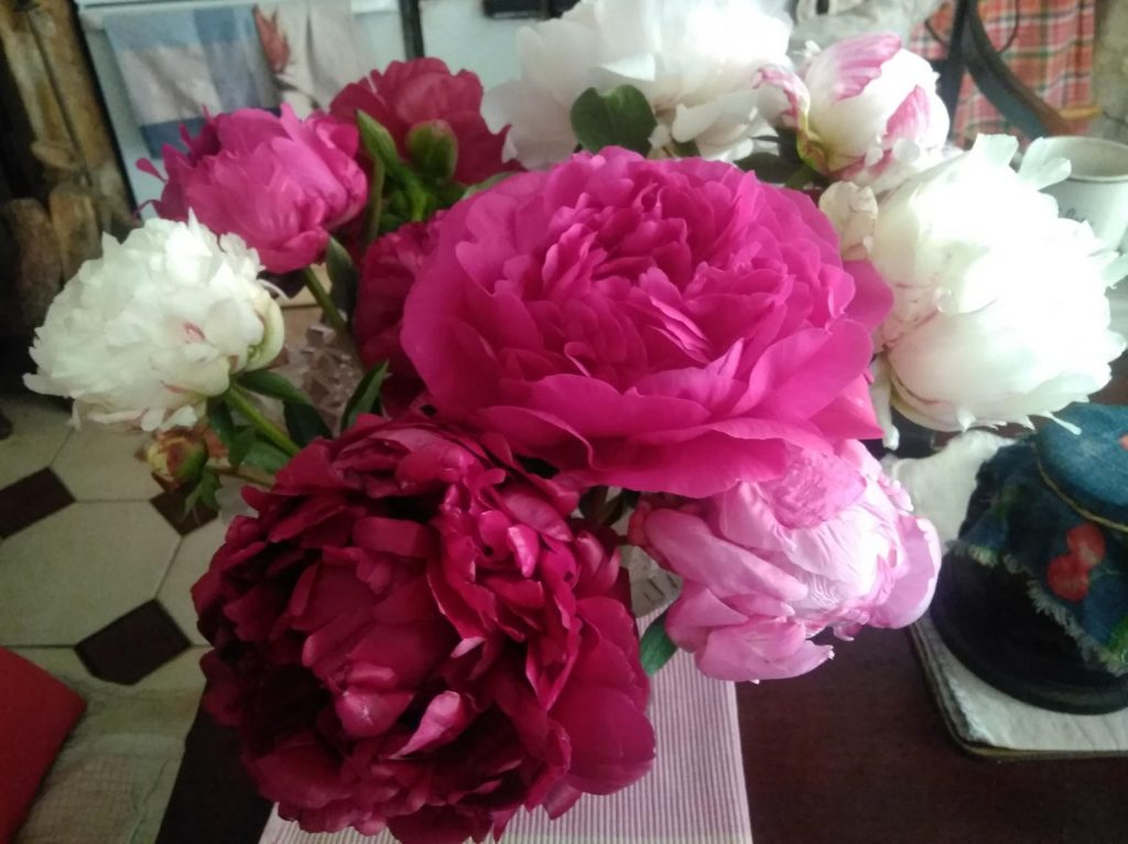 Peonies from Fleuribelle
