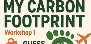 my carbon footprint