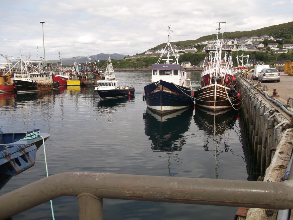 Mallaig Harbour