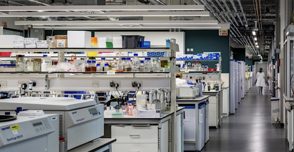 researchers and tours arc