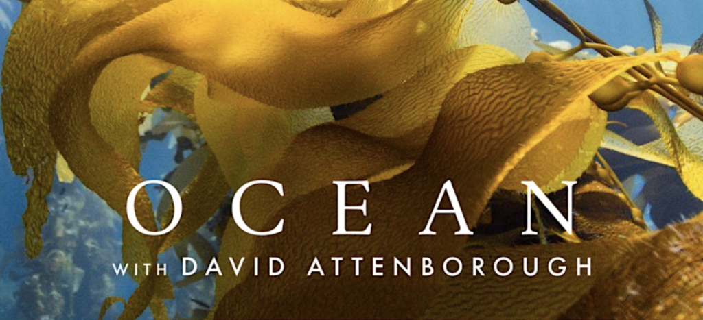 Ocean David Attenborough plus q and a