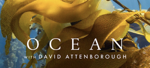 Ocean David Attenborough plus q and a