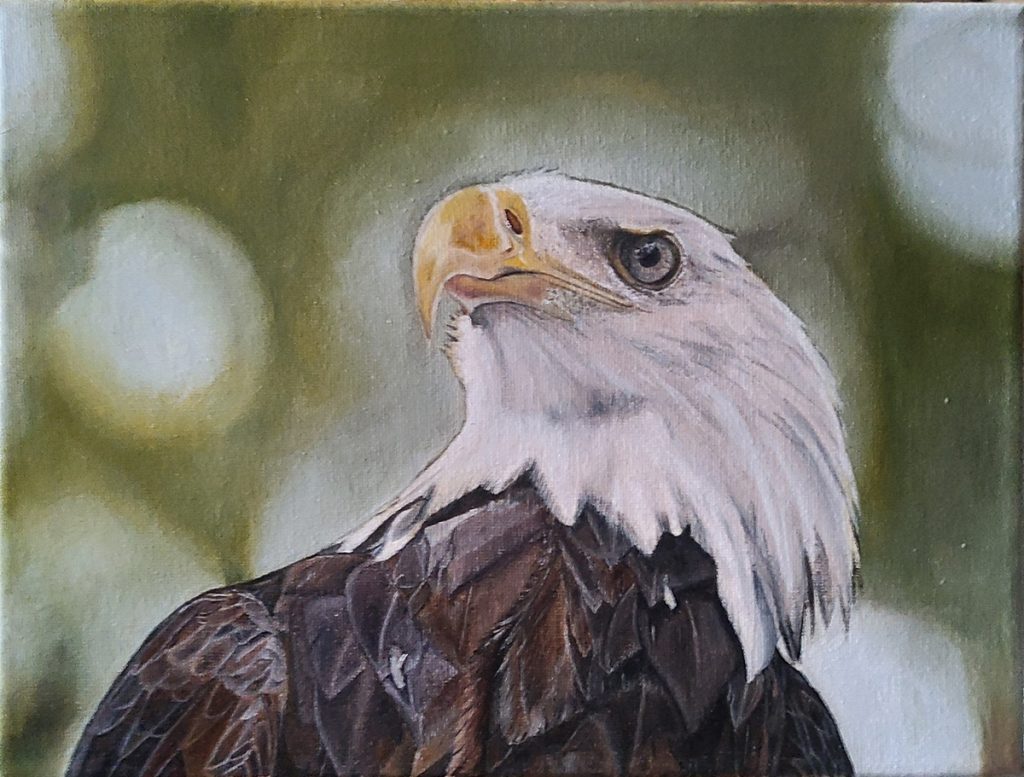 feathered friends
