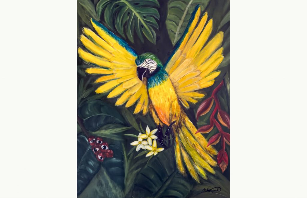 anne wiziack feathered friends