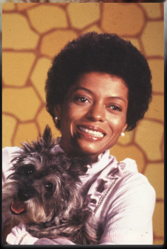 the wiz