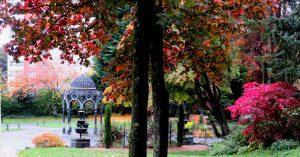 Dalmuir Park