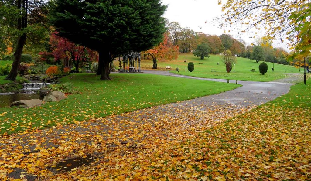Dalmuir Park