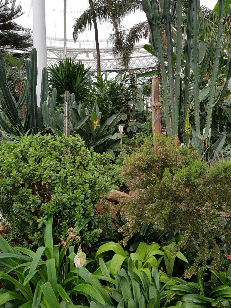 winter gardens paula ryans 2018