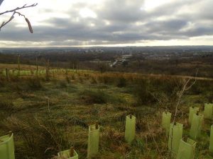 drumchapel way walking