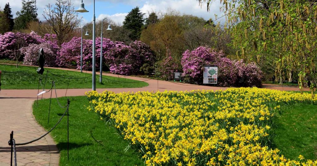 Botanic Springtime in Edinburgh