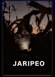 Jaripeo