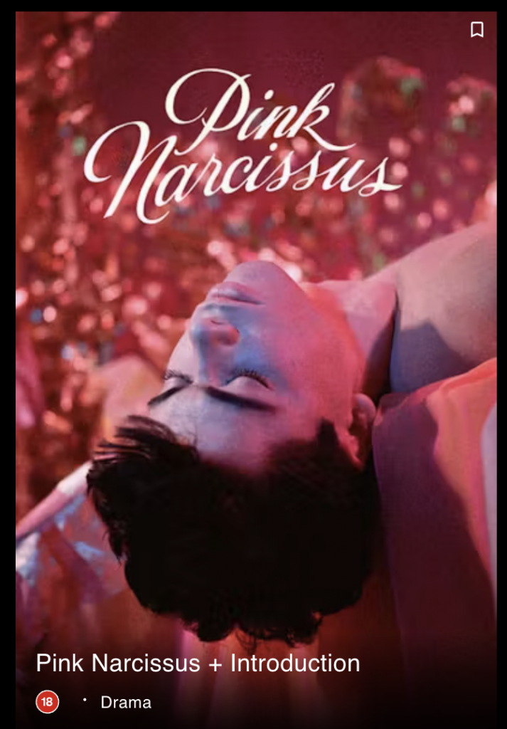 Pink Narcissus