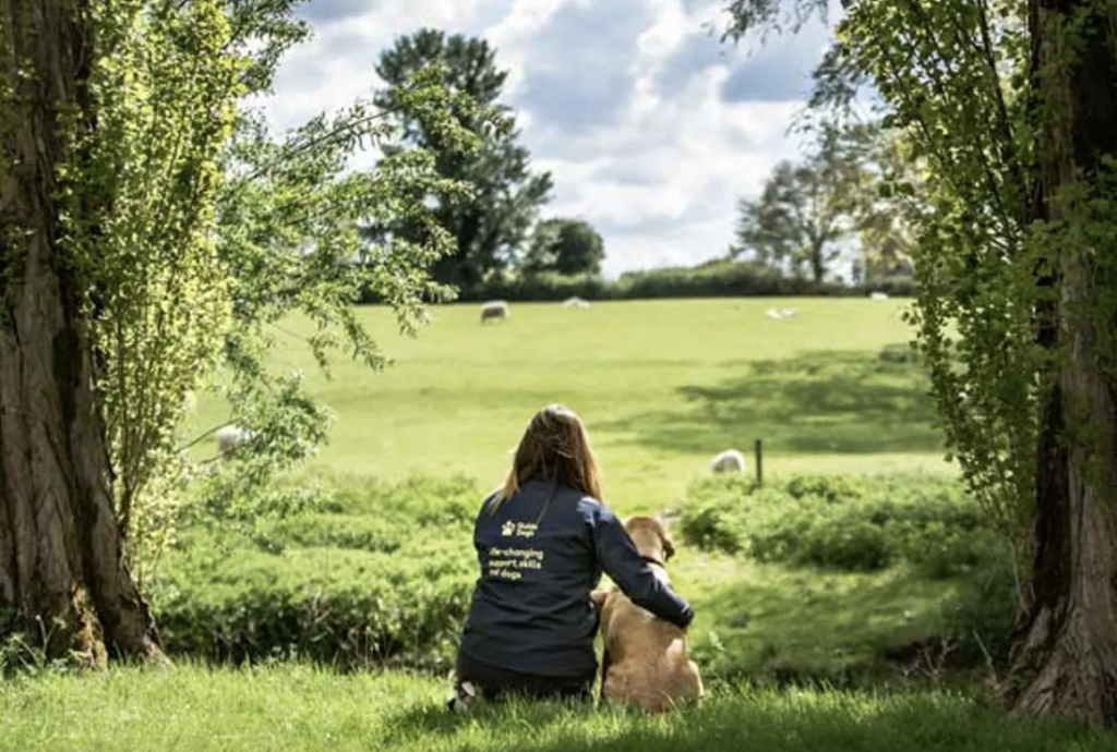 guide dog volunteers