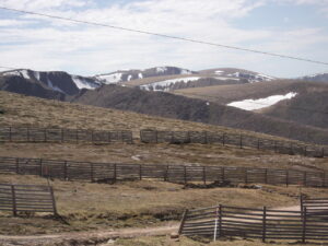 Snow on the hills