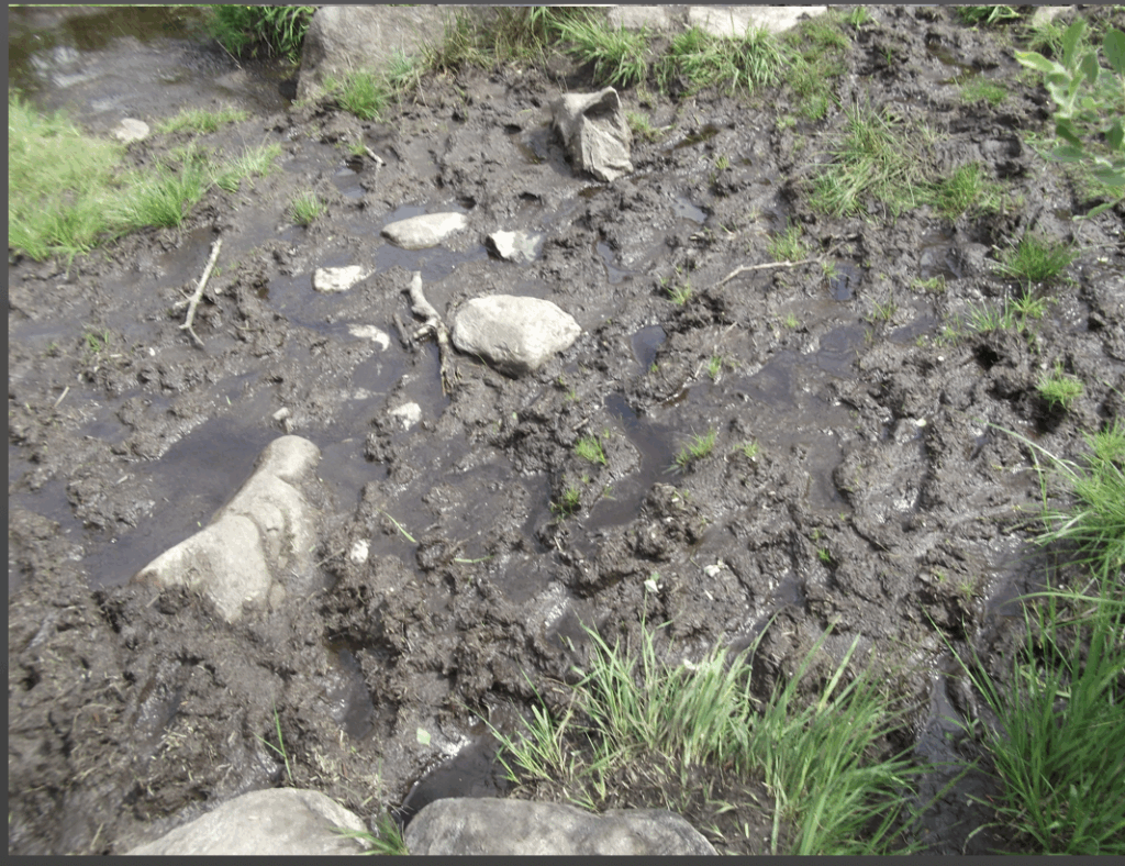 mud steall falls walk