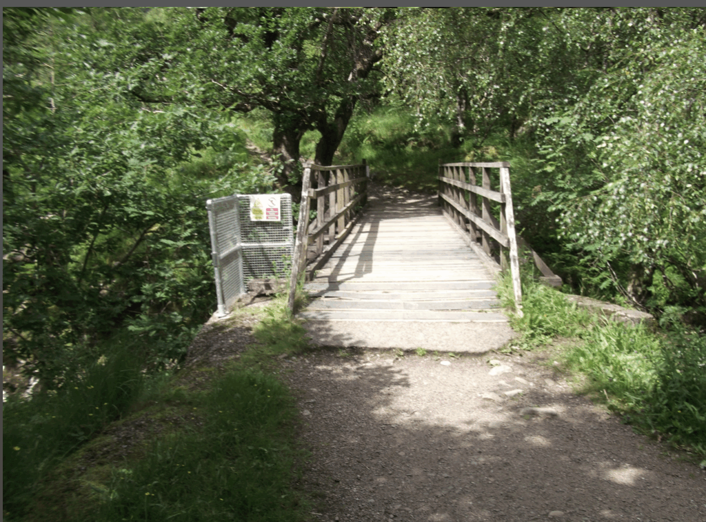 Paddy's Bridge