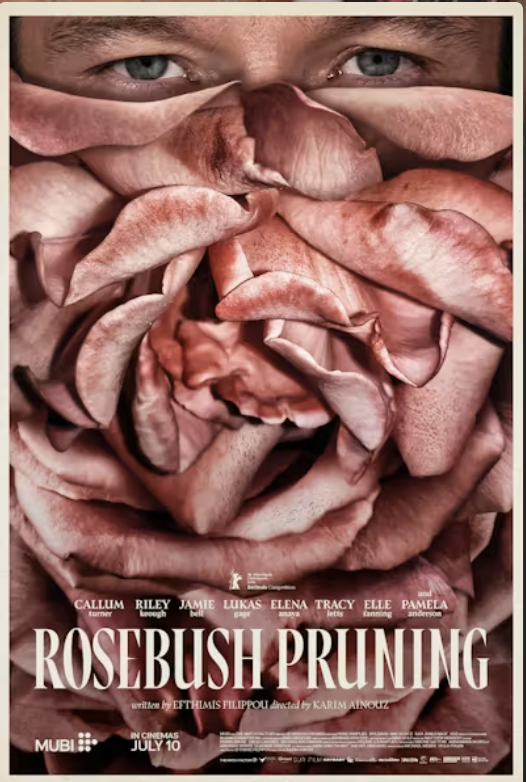 rosebush pruning