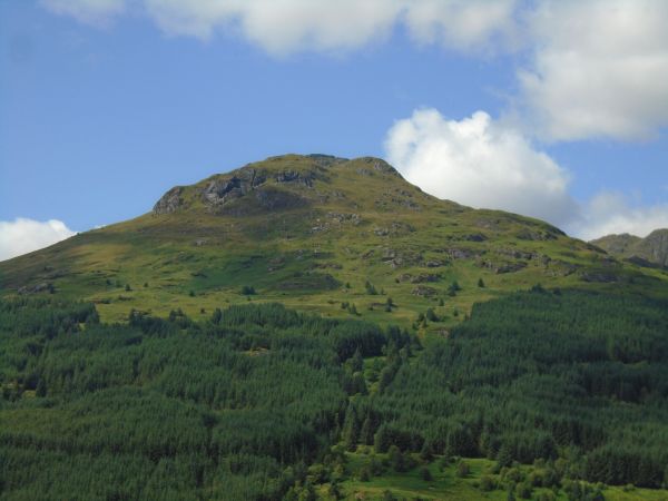 the cobbler