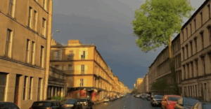 a tree griows argyle st